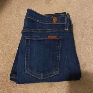 7 For All Mankind, The Skinny